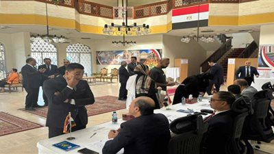 كاتب صحفي: المصريون في الخارج يشاركون على الانتخابات رغم التحديات| فيديو