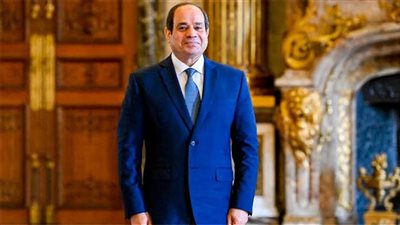 عمران: دبلوماسية الرئيس السيسي استراتيجية لتعزيز قوة مصر|فيديو