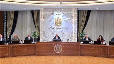 رئيس جهاز التعبئة والإحصاء يُقدم عرضًا حول التعداد العام للسكان والإسكان 