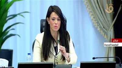 وزيرة التخطيط تكشف سيناريوهات الإصلاح الاقتصادي حتى 2030| فيديو