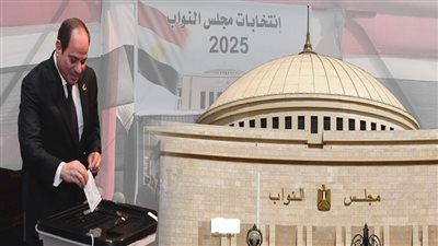 كاتب صحفي: الفيتو الرئاسي أحدث نقلة نوعية لصون إرادة الناخب| فيديو