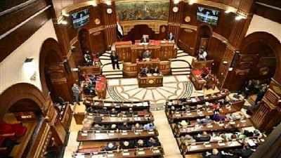 عضو الشيوخ: حد الإعفاء الضريبي للوحدات لحماية الطبقة المتوسطة|فيديو