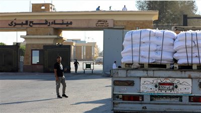 الدور المصري في غزة.. تحركات استراتيجية تُفشل مخططات التهجير| فيديو