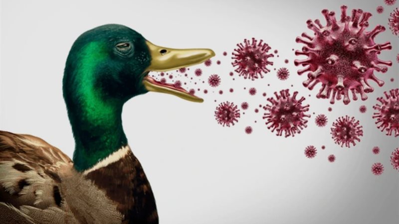 أول حالة إصابة بـ