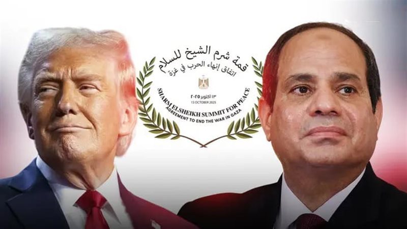 الرئيس السيسي - الرئيس