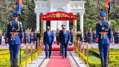 القمة المصرية-الصومالية.. تعزيز الشراكة وحماية أمن القرن الإفريقي| فيديو