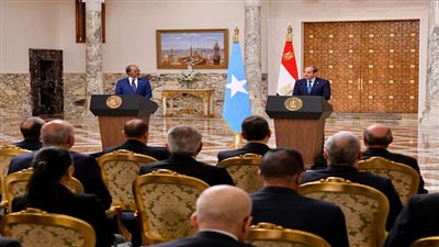 دبلوماسي سابق: مباحثات الرئيس السيسي مع الصومال تحمي أمن البحر الأحمر|فيديو