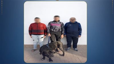 الأب وعياله بلطجية.. الداخلية تضبط المتهم بتهديد سيدة عجوز بكلب شرس 