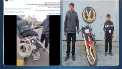 ضيع ابنه معاه .. تفاصيل مثيرة في واقعة سحب كلب العبور  