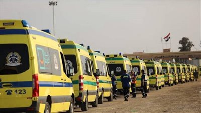 تصطف مئات الشاحنات الإنسانية أمام معبر رفح لتلبية احتياجات غزة|فيديو