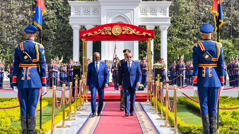 الرئيس السيسي - الرئيس