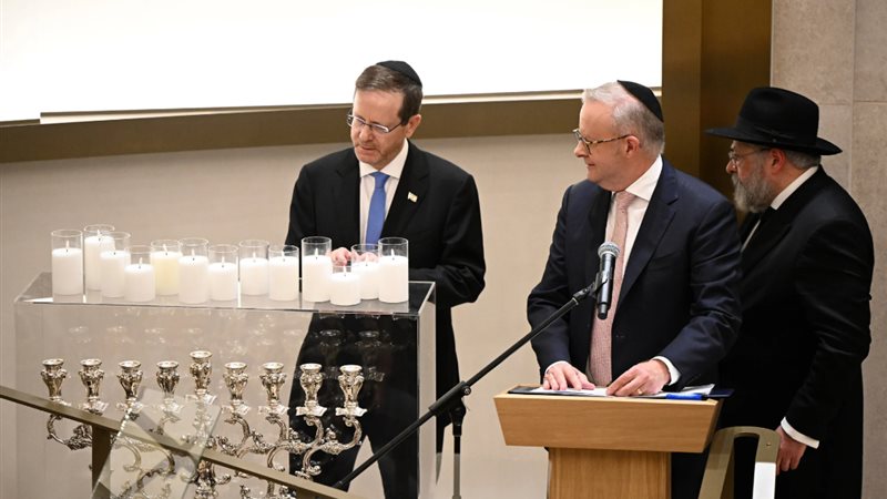 ألبانيز يشارك في