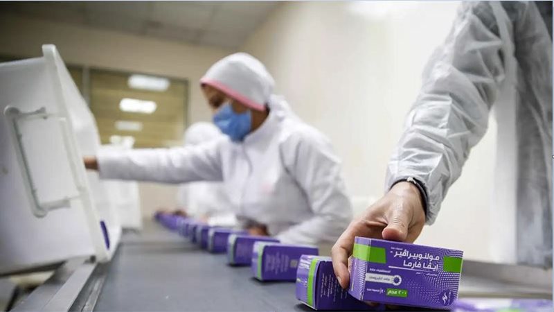 توطين مصر صناعة الأدوية