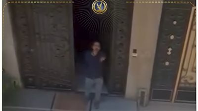 الداخلية توضح حقيقة فيديو بلطجي البحيرة