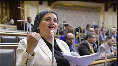 سناء السعيد: الفقر يرتفع.. والمركزي لم يصدر الاحصائيات من 2019|فيديو