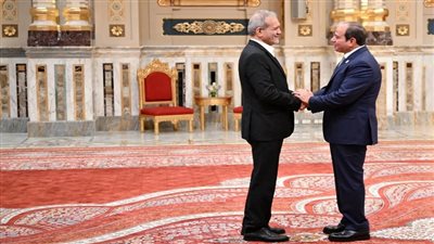 اتصال الرئيس السيسي وبزشكيان يؤكد رفض مصر للتصعيد|فيديو