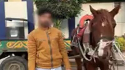 الأجهزة الأمنية تكشف حقيقة التعدى بالضرب بإستخدام كرباج على حصان