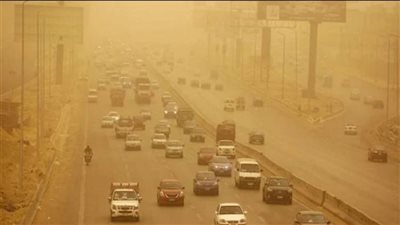 الأتربة والرياح.. كيف تحمي نفسك من الحساسية ونزلات البرد؟|فيديو