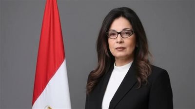 نيابة النقض توصي برفض طعن جيهان زكي في قضية سرقة الملكية الفكرية 