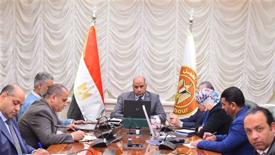 وزير العمل يوجه بضرورة تقديم كافة أوجه الدعم والرعاية للعمالة المصرية بالخارج