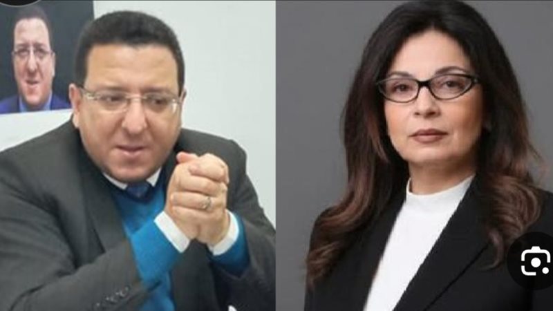 علي أيوب ووزيرة الثقافة