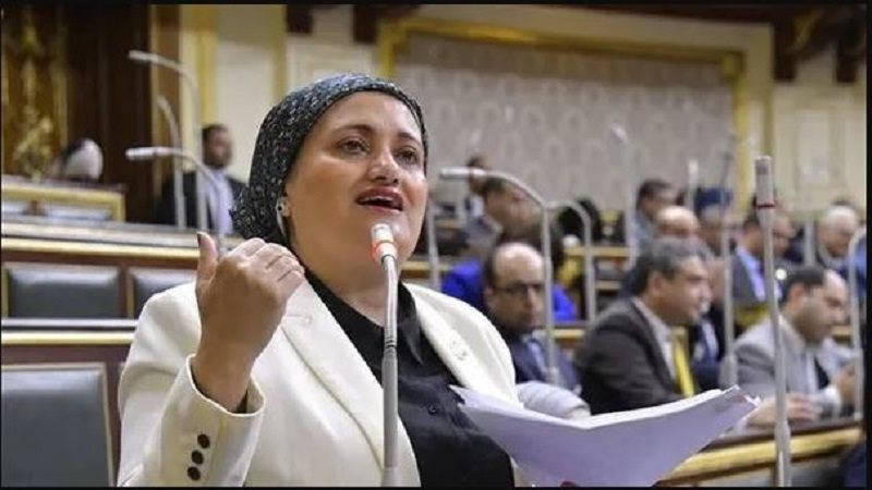 النائبة سناء السعيد