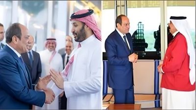 طلعت طه: مصر تقود جهود التهدئة في المنطقة وزيارة السيسي تاريخية