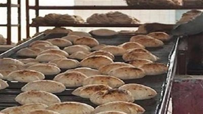 350 مخالفة لـ المخابز المخالفة ضمن جهود الرقابة المستمرة|فيديو