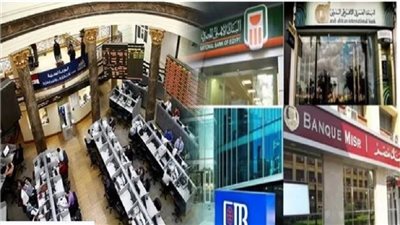 خبير اقتصادي يؤكد استقرار الأسواق بعد قرارات البنوك المركزية|فيديو