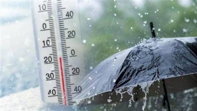 التعليم العالي يعلق الدراسة الحضورية ويستمر أونلاين لمواجهة تقلبات الطقس