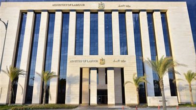 العمل تحرر 203 محضر مخالف لمعايير السلامة والصحة المهنية
