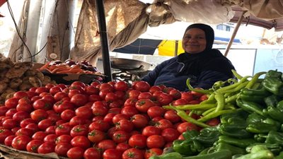 خبير زراعي: الحروب ترفع أسعار الخضروات والطماطم الأكثر تأثرًا