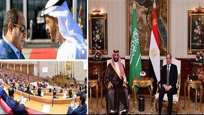 الديهي: مصر ترفض أي حلول عسكرية بالمنطقة كخيار أساسي|فيديو