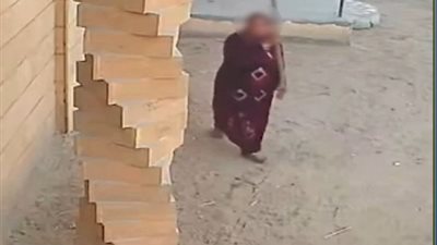 الأجهزة الأمنية تلقي القبض علي سيدة حطمت كاميرات مراقبة 