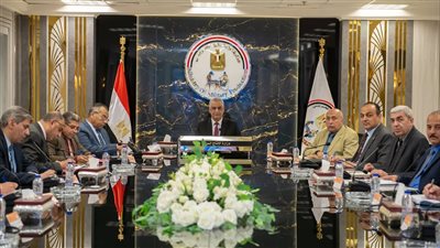 جمبلاط يوجه بترشيد استهلاك الكهرباء داخل شركات الإنتاج الحربي