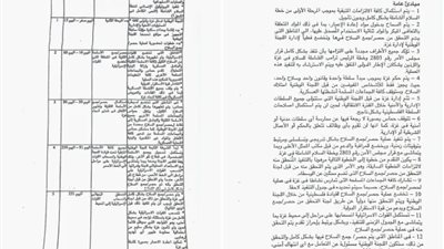«خمسة مراحل و250 يومًا» تسريب خطة جديدة لنزع سلاح 