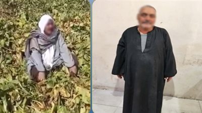 الأجهزة الأمنية تضبط المتهم بقتل المحصول بمبيد حشري نكاية في أقاربه