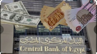 خبير: تحويلات المصريين بالخارج ترتفع لـ 45 مليار دولار 2026|فيديو