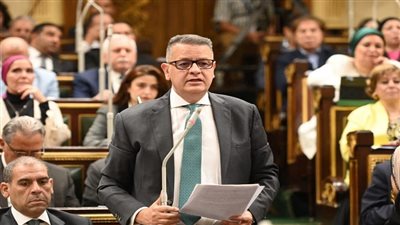 «طارق رضوان» يكشف دلالات البيان المشترك لـ النواب والشيوخ|فيديو