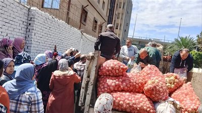 نقابة تجميل الجيزة  توفر اسعار الخضراوات باسعار الجملة