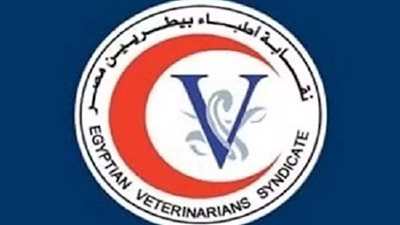 النتائج النهائية لانتخابات التجديد النصفي للأطباء البيطريين