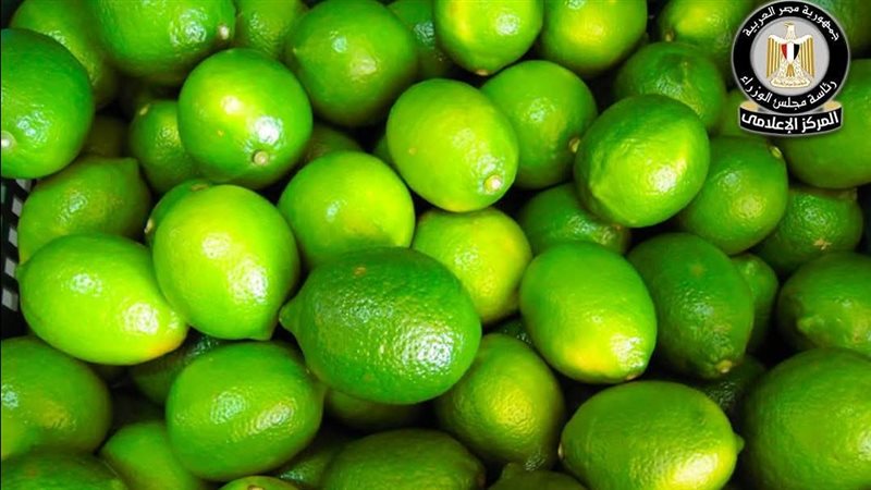 الليمون المصري