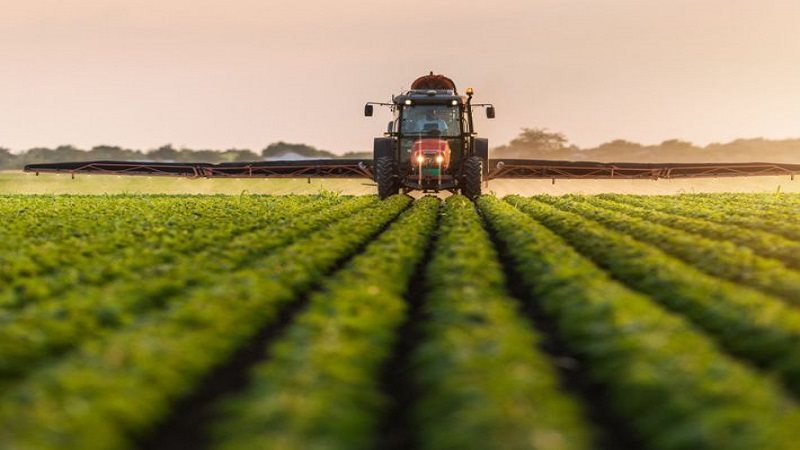 المحاصيل الزراعية