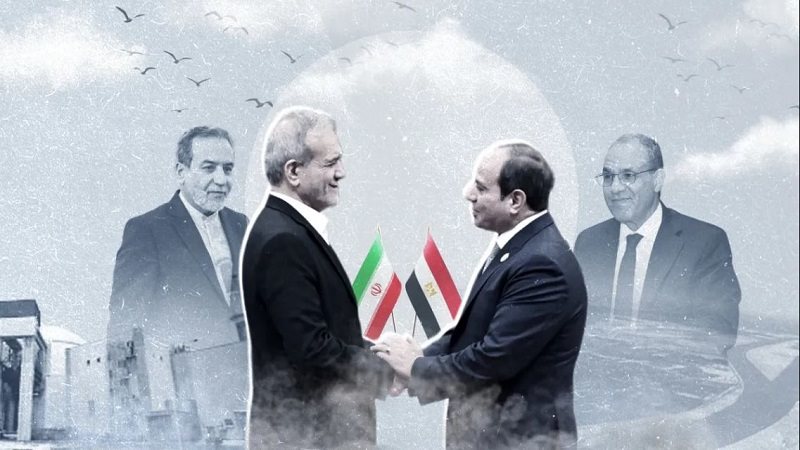 أحتواء مصر التصعيد