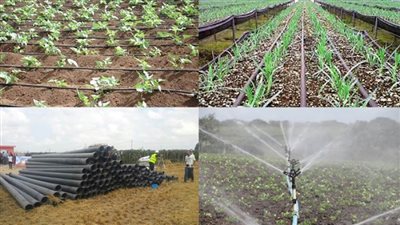 متحدث الزراعة: حملة إرشادية موسعة لترشيد استهلاك الطاقة|فيديو