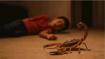 «بعد مهاجمتها للمواطنين».. كيف تحمي نفسك من هجوم ولدغات العقارب؟|فيديو