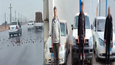 ائدى سيارتين 