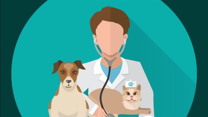 العيادات البيطرية