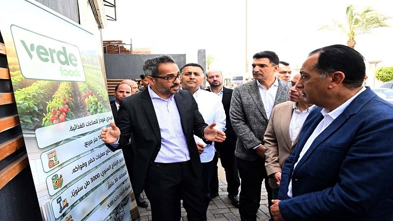 المجمعات الصناعية في مصر