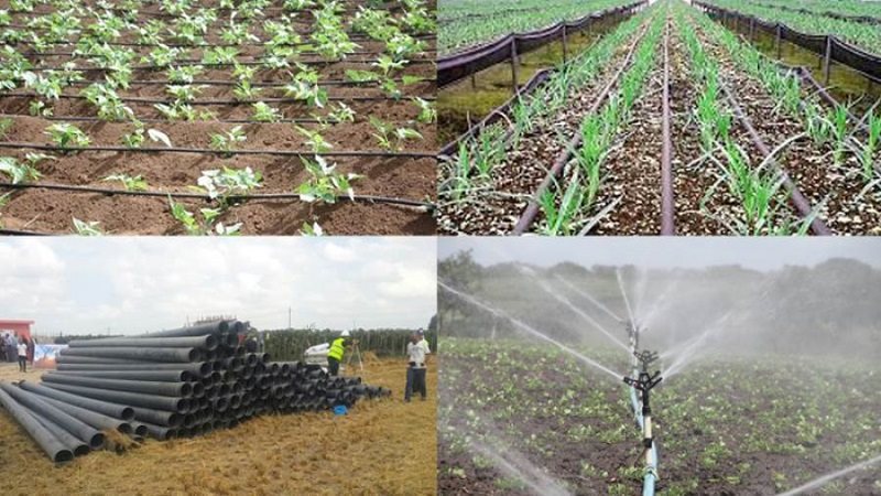 ترشيد الاستهلاك الزراعي